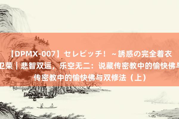 【DPMX-007】セレビッチ！～誘惑の完全着衣～ KAORI 沈卫荣︱悲智双运，乐空无二：说藏传密教中的愉快佛与双修法（上）