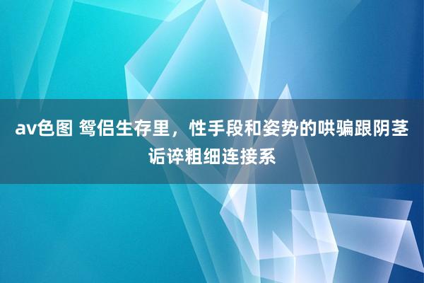 av色图 鸳侣生存里,性手段和姿势的哄骗跟阴茎诟谇粗细连接系