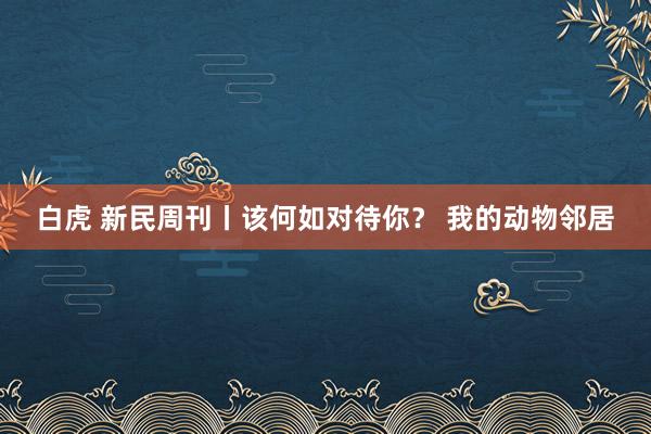白虎 新民周刊丨该何如对待你？ 我的动物邻居