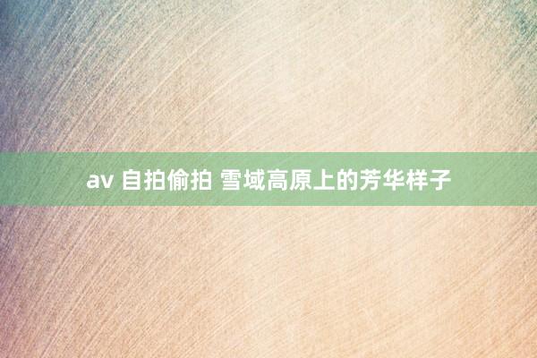 av 自拍偷拍 雪域高原上的芳华样子